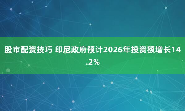 股市配资技巧 印尼政府预计2026年投资额增长14.2%